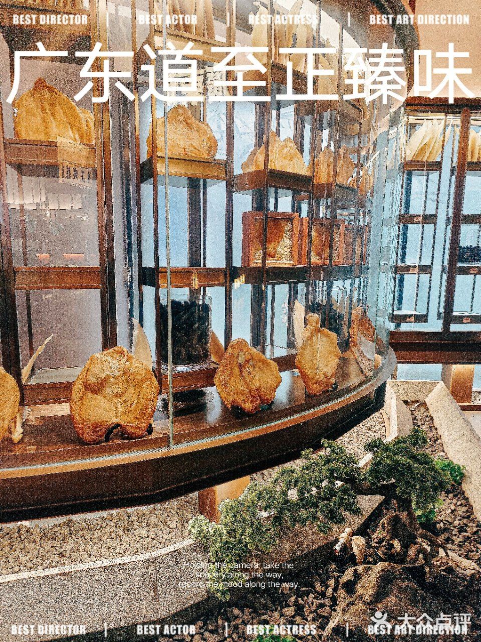 黄埔高档轻奢粤菜首选-广东道至正臻味 
