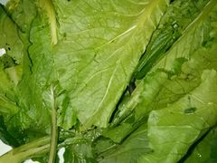 -黔蘑菇四季餐厅(观山湖店)