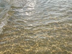 -后海村