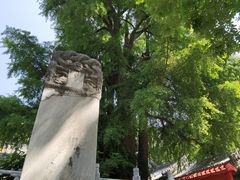 -潭柘寺景区