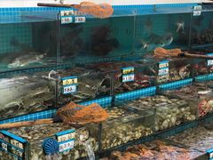 水产区-红月湾海鲜饭店•沙滩海景(双月湾店)