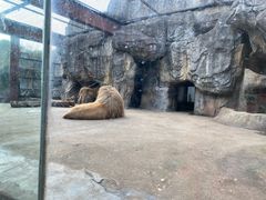 -南昌动物园