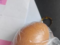 -秦皇岛野生动物园