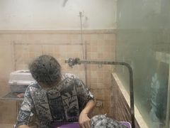 -宠颐生汉谟拉比宠物医院