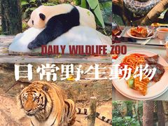 -广州长隆野生动物世界