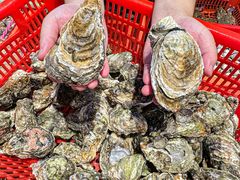 -巽寮印象美食部落餐厅·海鲜·地方特色菜(惠州体验店)