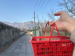 -大自然农场蔬菜草莓采摘园