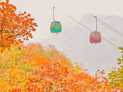 -香山公园