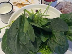 -大熊猫毛肚火锅(烟台万象汇店)