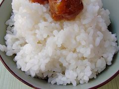 -盛德圆(五台山云龙店)