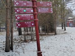 -北极村旅游风景区