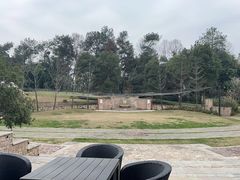 -成都蒲江花样年福朋喜来登度假酒店·宜客乐西餐厅