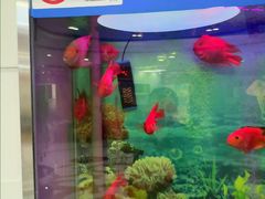 -雅悦齿科(顾村公园店)