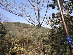 -杭州半山国家森林公园