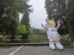 -武陵山森林公园