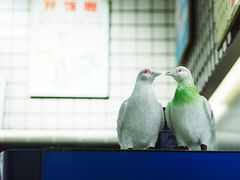 -渔湘粤厨(时尚天河美食城店)