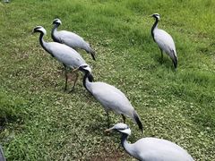 -普洱太阳河森林公园