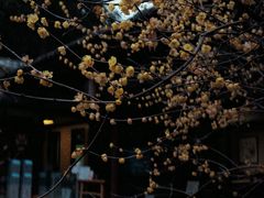 -成都杜甫草堂博物馆