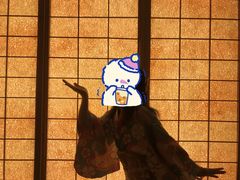-重庆南山海昌汤都