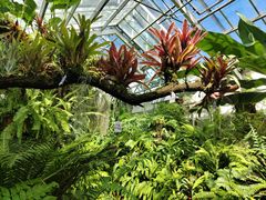 -国家植物园南园