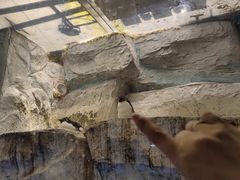 -海合安青岛极地海洋公园
