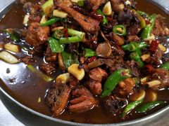 -向民炒鸡老店(火车站店)