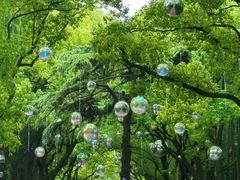 -上海共青森林公园