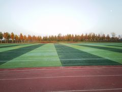 -瀛海足球主题公园