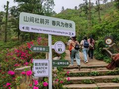 -木兰云雾山