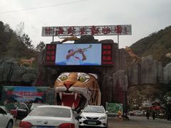 -栾川竹海野生动物园