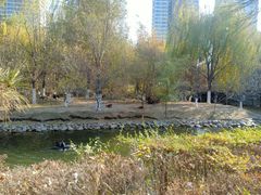 -长白岛森林公园