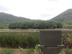 -八卦田遗址公园