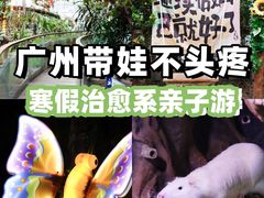 -正佳雨林生态植物园