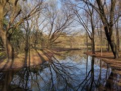 -上海共青森林公园