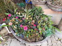 -园林美食城·本土农家菜(杨和镇店)