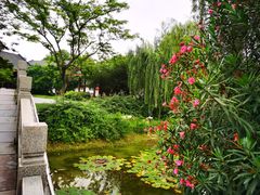 -堤角公园