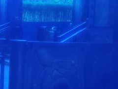 -海洋公园海洋列车－海滨站