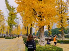 -百林公园-两江幸福广场