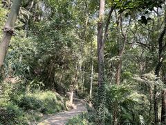 -上海佘山国家森林公园天马山园