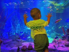 -沈阳海洋探索中心