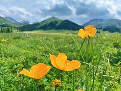 -新疆那拉提国家旅游度假区