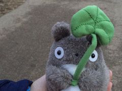 -三鹰之森吉卜力美术馆