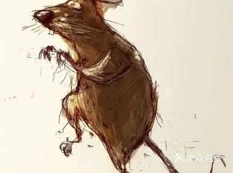这组画来自插画师Dainius Sukys