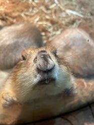 -Zoolung Zoolung动物主题公园(海信广场店)