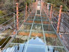 -燕子河大峡谷天坑仙境