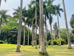 -中国科学院西双版纳热带植物园