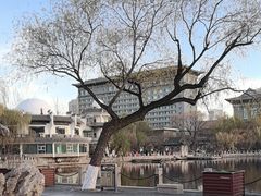 -文瀛公园