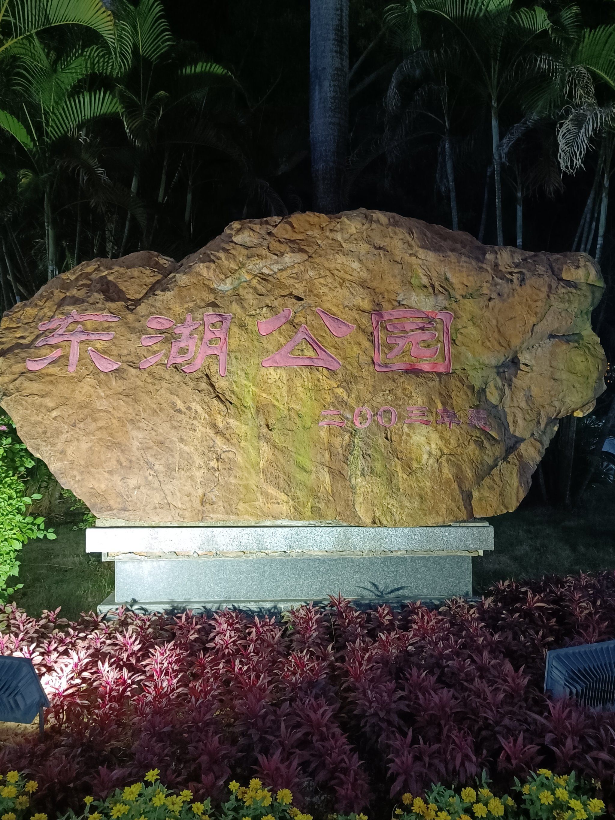 璀璨东湖夜,醉美阳春情