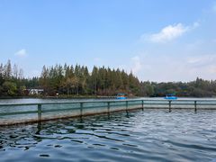 -东平国家森林公园
