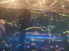 -瑞德姆美人鱼海底演艺主题餐厅(亚龙湾店)